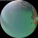 ./images/calvert/underwater/20260721/underwater20260721_054501M.jpg