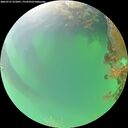./images/calvert/underwater/20260721/underwater20260721_072001M.jpg