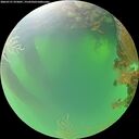 ./images/calvert/underwater/20260721/underwater20260721_075001M.jpg