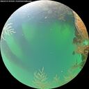./images/calvert/underwater/20260721/underwater20260721_075501M.jpg