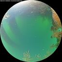 ./images/calvert/underwater/20260721/underwater20260721_080002M.jpg