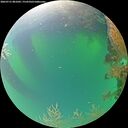 ./images/calvert/underwater/20260721/underwater20260721_081001M.jpg