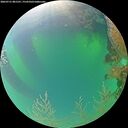 ./images/calvert/underwater/20260721/underwater20260721_081501M.jpg