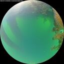 ./images/calvert/underwater/20260721/underwater20260721_082001M.jpg