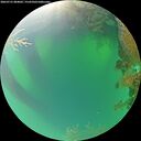 ./images/calvert/underwater/20260721/underwater20260721_084001M.jpg
