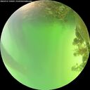 ./images/calvert/underwater/20260721/underwater20260721_135001M.jpg