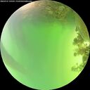 ./images/calvert/underwater/20260721/underwater20260721_135501M.jpg