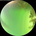 ./images/calvert/underwater/20260721/underwater20260721_141501M.jpg