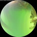 ./images/calvert/underwater/20260721/underwater20260721_143001M.jpg