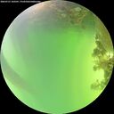 ./images/calvert/underwater/20260721/underwater20260721_143501M.jpg