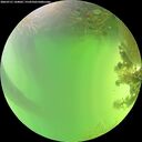 ./images/calvert/underwater/20260721/underwater20260721_144002M.jpg