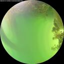 ./images/calvert/underwater/20260721/underwater20260721_154501M.jpg