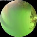 ./images/calvert/underwater/20260721/underwater20260721_161501M.jpg
