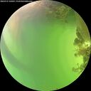 ./images/calvert/underwater/20260721/underwater20260721_162001M.jpg