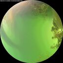 ./images/calvert/underwater/20260721/underwater20260721_163002M.jpg