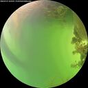 ./images/calvert/underwater/20260721/underwater20260721_163501M.jpg