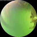 ./images/calvert/underwater/20260721/underwater20260721_164001M.jpg
