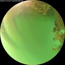 ./images/calvert/underwater/20260721/underwater20260721_191501M.jpg