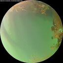 ./images/calvert/underwater/20260721/underwater20260721_202501M.jpg