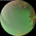 ./images/calvert/underwater/20260721/underwater20260721_212001M.jpg