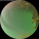 ./images/calvert/underwater/20260721/underwater20260721_212501M.jpg