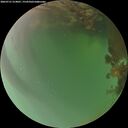 ./images/calvert/underwater/20260721/underwater20260721_214001M.jpg