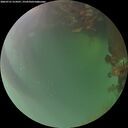 ./images/calvert/underwater/20260721/underwater20260721_214501M.jpg