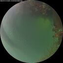 ./images/calvert/underwater/20260721/underwater20260721_215001M.jpg