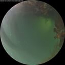 ./images/calvert/underwater/20260721/underwater20260721_215501M.jpg