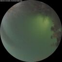 ./images/calvert/underwater/20260721/underwater20260721_221001M.jpg
