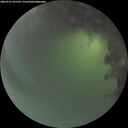 ./images/calvert/underwater/20260721/underwater20260721_221501M.jpg