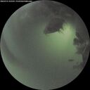 ./images/calvert/underwater/20260721/underwater20260721_222502M.jpg