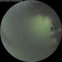 ./images/calvert/underwater/20260722/underwater20260722_050001M.jpg