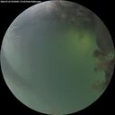 ./images/calvert/underwater/20260722/underwater20260722_052001M.jpg
