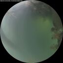 ./images/calvert/underwater/20260722/underwater20260722_052501M.jpg