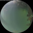 ./images/calvert/underwater/20260722/underwater20260722_053001M.jpg