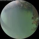 ./images/calvert/underwater/20260722/underwater20260722_053501M.jpg