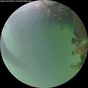 ./images/calvert/underwater/20260722/underwater20260722_054501M.jpg