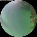 ./images/calvert/underwater/20260722/underwater20260722_055501M.jpg