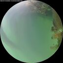 ./images/calvert/underwater/20260722/underwater20260722_060002M.jpg