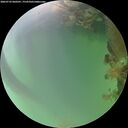 ./images/calvert/underwater/20260722/underwater20260722_060501M.jpg