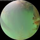./images/calvert/underwater/20260722/underwater20260722_061501M.jpg