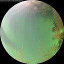 ./images/calvert/underwater/20260722/underwater20260722_062502M.jpg
