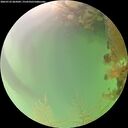 ./images/calvert/underwater/20260722/underwater20260722_065002M.jpg