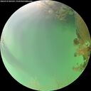 ./images/calvert/underwater/20260722/underwater20260722_065501M.jpg