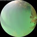 ./images/calvert/underwater/20260722/underwater20260722_070001M.jpg