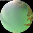 ./images/calvert/underwater/20260722/underwater20260722_072002M.jpg