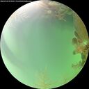 ./images/calvert/underwater/20260722/underwater20260722_073501M.jpg