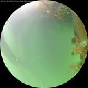 ./images/calvert/underwater/20260722/underwater20260722_082001M.jpg