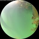 ./images/calvert/underwater/20260722/underwater20260722_082501M.jpg
